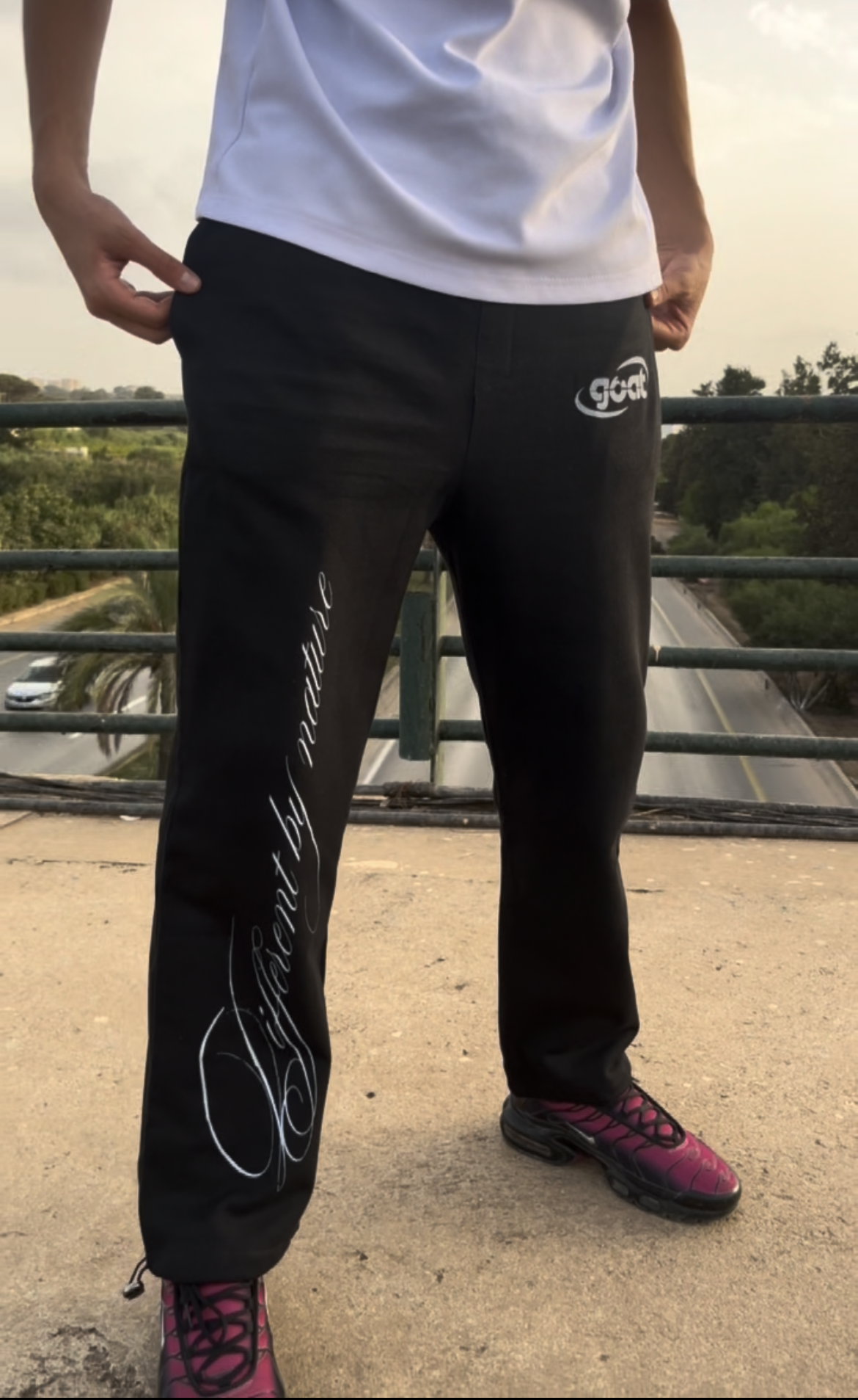 joggers script